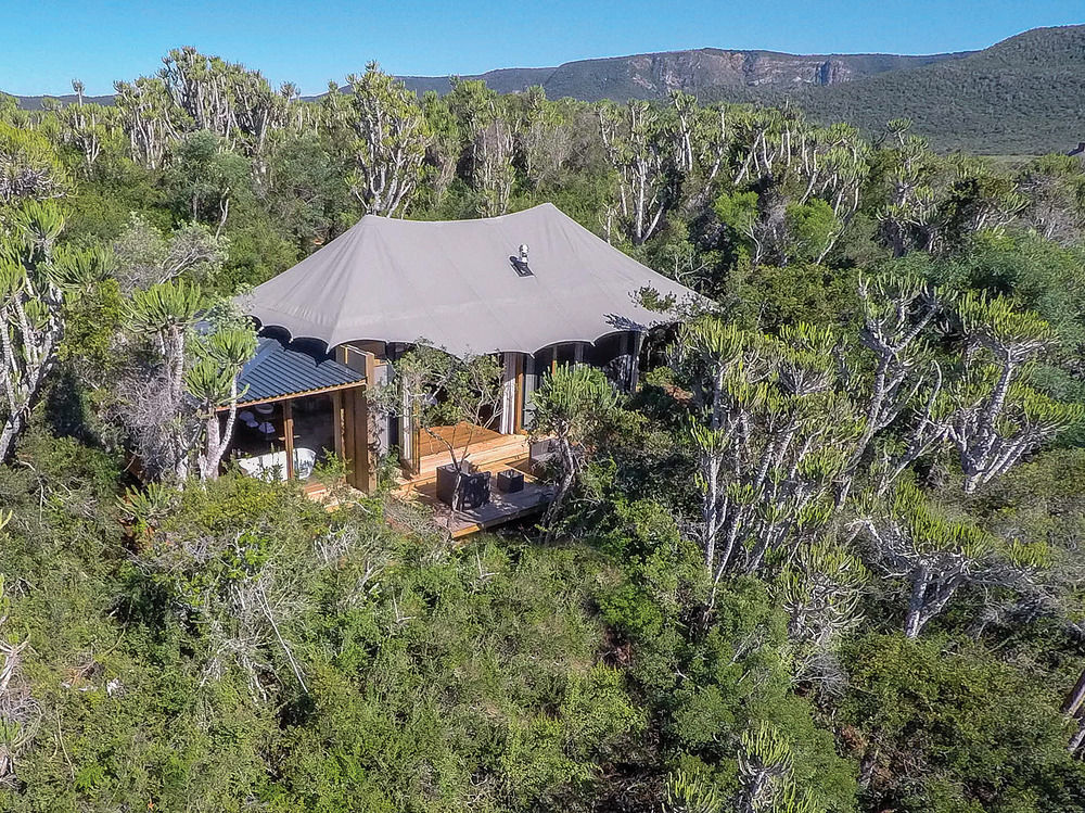 Kariega Game Reserve Settlers Drift Alexandria  Buitenkant foto