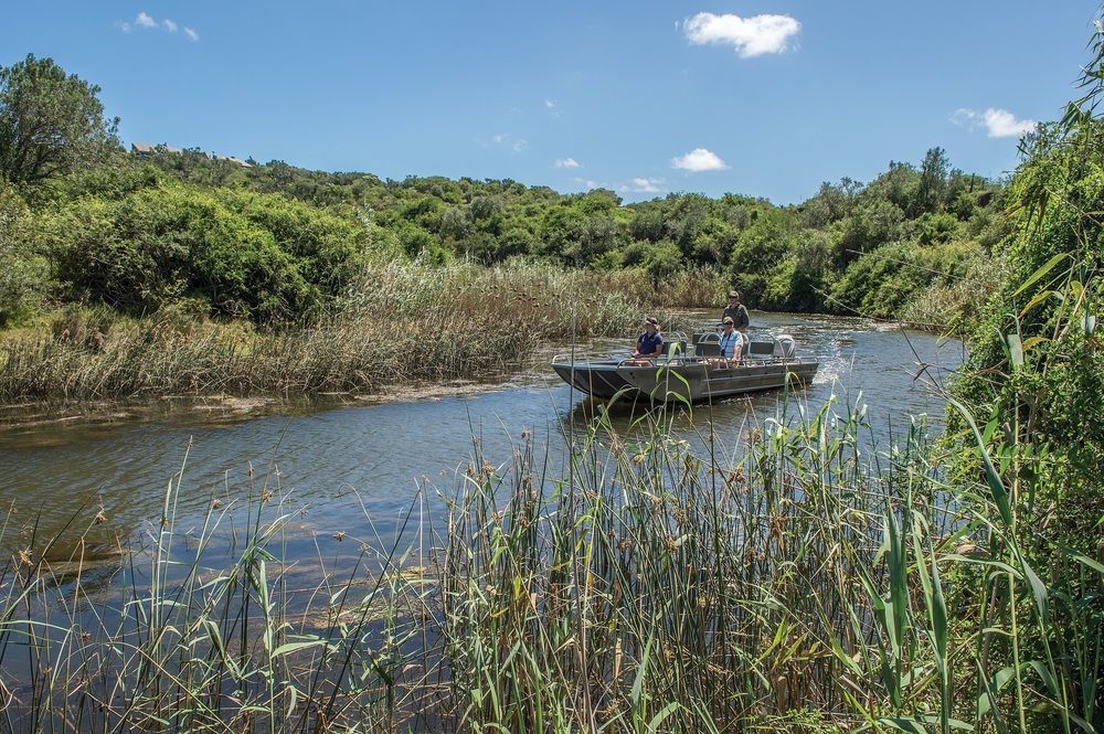Kariega Game Reserve Settlers Drift Alexandria  Buitenkant foto