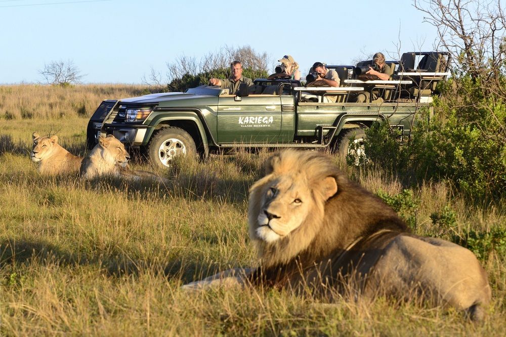 Kariega Game Reserve Settlers Drift Alexandria  Buitenkant foto