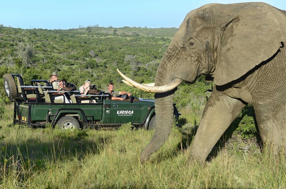 Kariega Game Reserve Settlers Drift Alexandria  Buitenkant foto