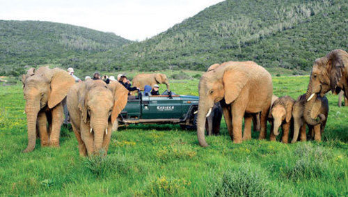 Kariega Game Reserve Settlers Drift Alexandria  Buitenkant foto